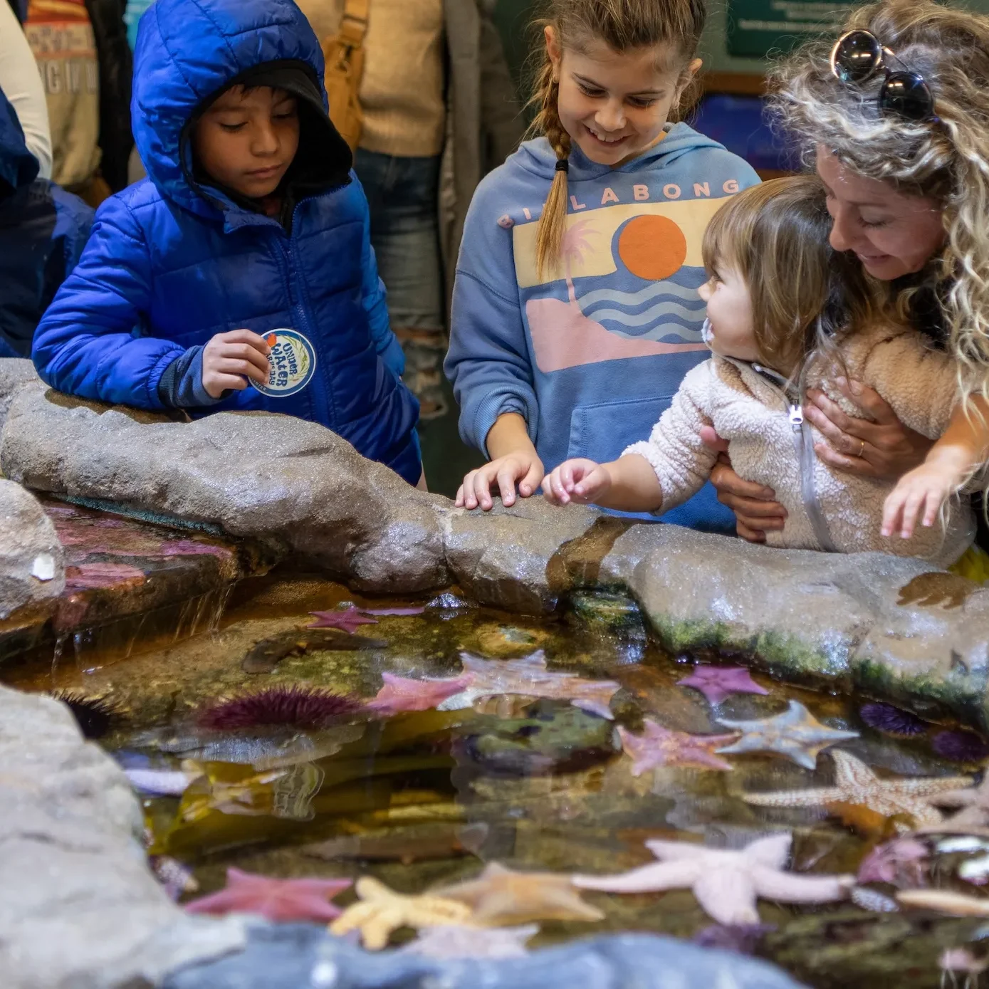 Guests-enjoy-meeting-sea-stars-at-the-Sea-Center.jpg