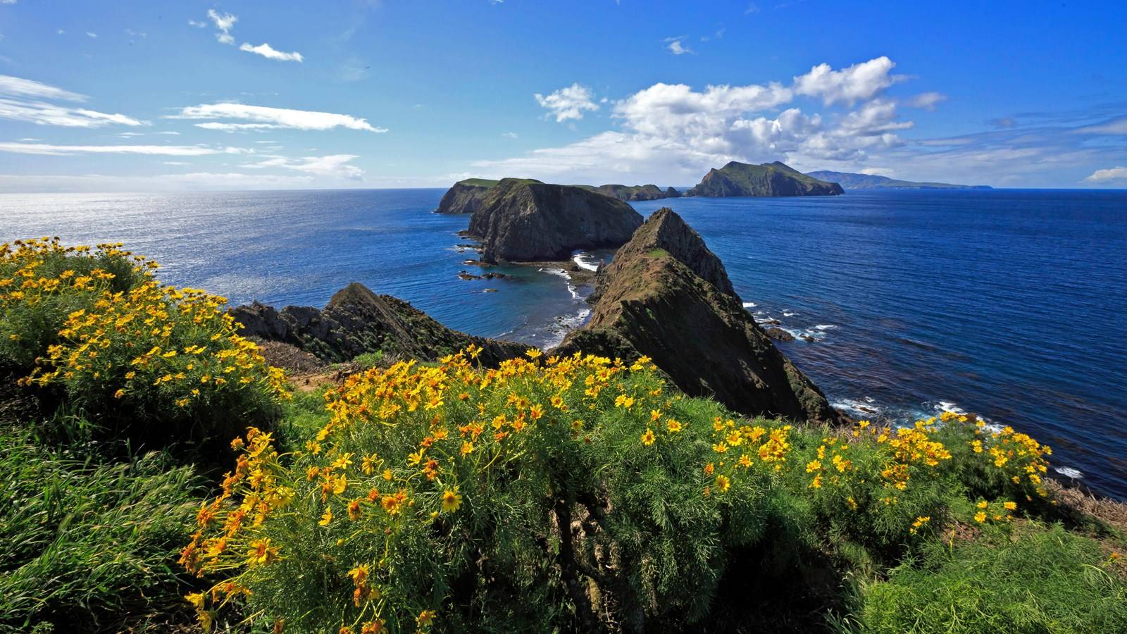 About Santa Barbara Channel and Channel Islands National Park